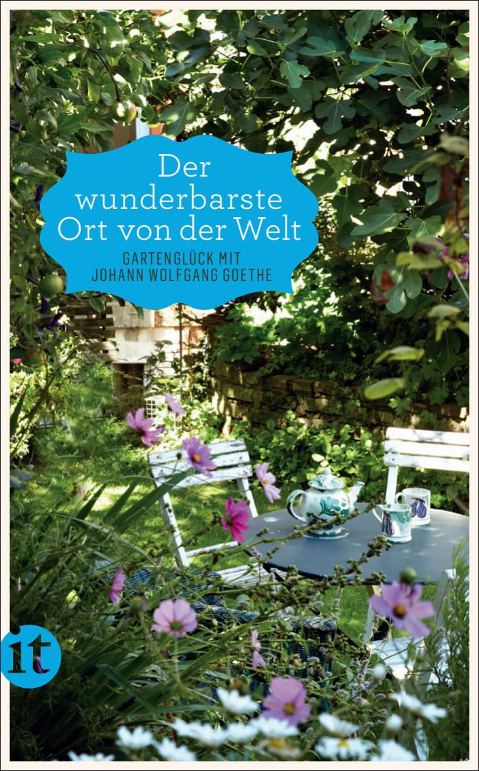 »Der wunderbarste Ort von der Welt« Contemporary literature