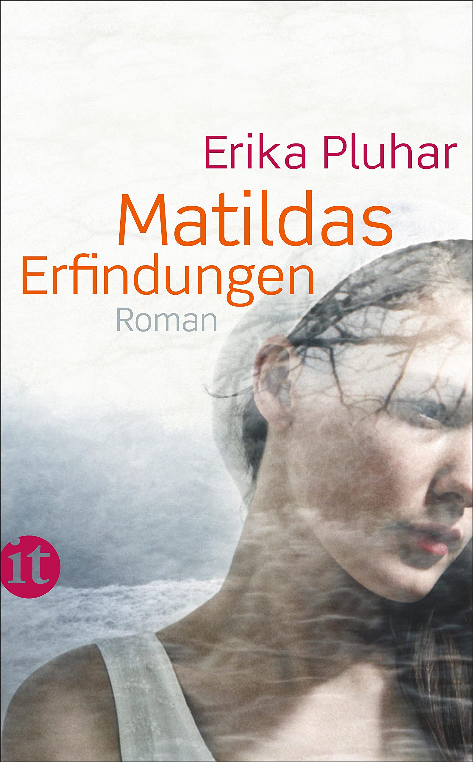 Matildas Erfindungen Contemporary literature Books