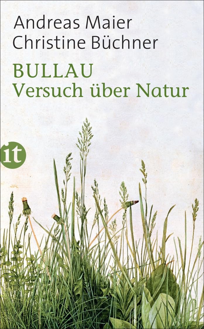 Bullau Essays & Short Stories