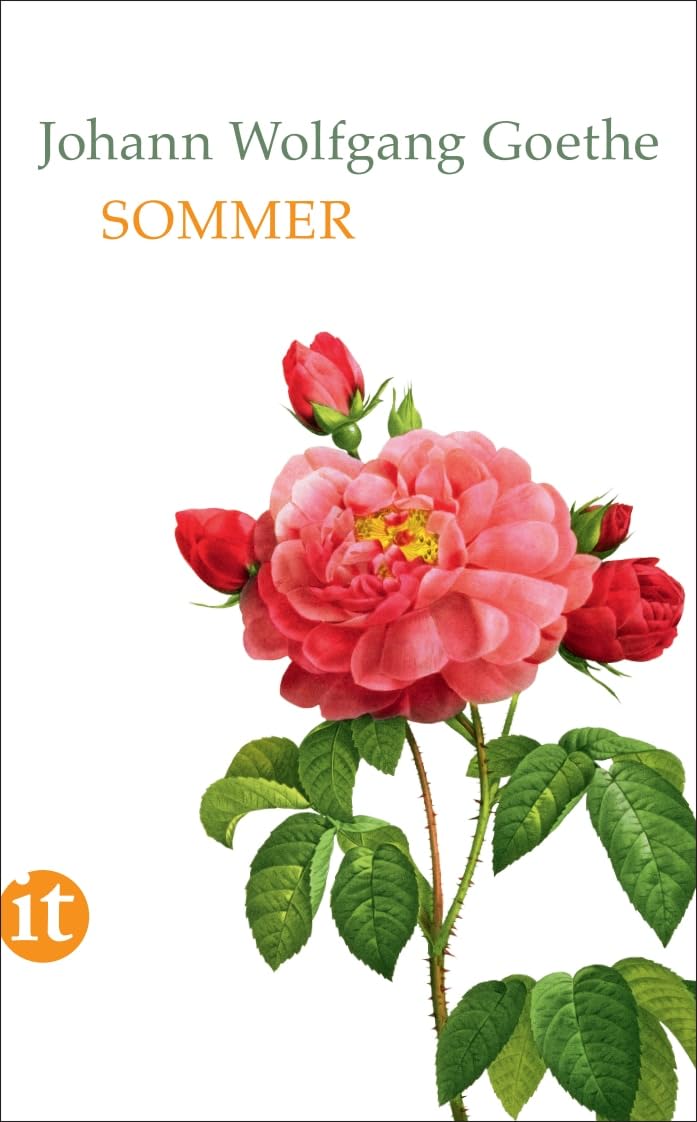 Sommer (insel taschenbuch) Contemporary literature
