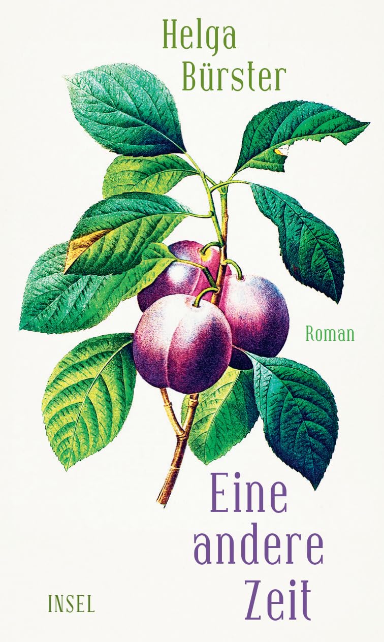 Eine andere Zeit Contemporary literature Books