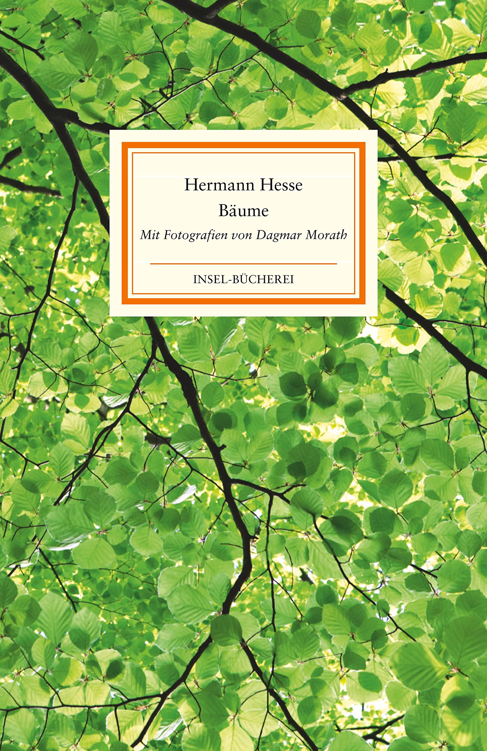 Bäume Poetry