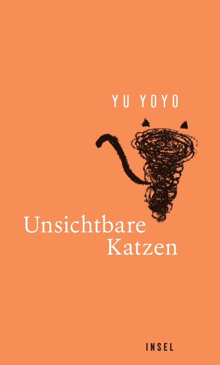 Unsichtbare Katzen Contemporary literature Books