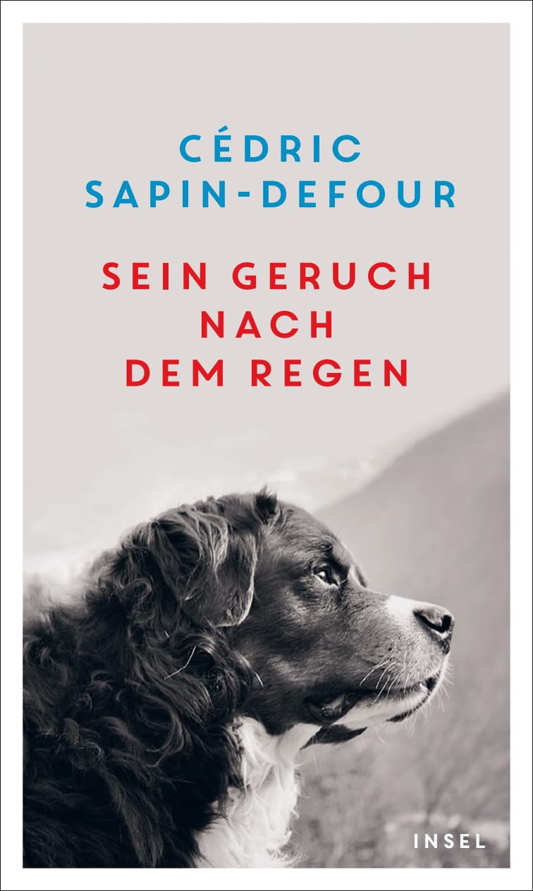 Sein Geruch nach dem Regen Contemporary literature