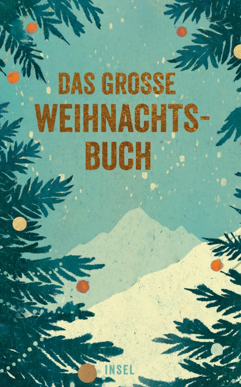 Das große Weihnachtsbuch: Wunderbare Weihnachtsgeschichten zum Vorlesen oder Selbstlesen | Das perfekte Geschenk zu Weihnachten (insel taschenbuch) Contemporary literature