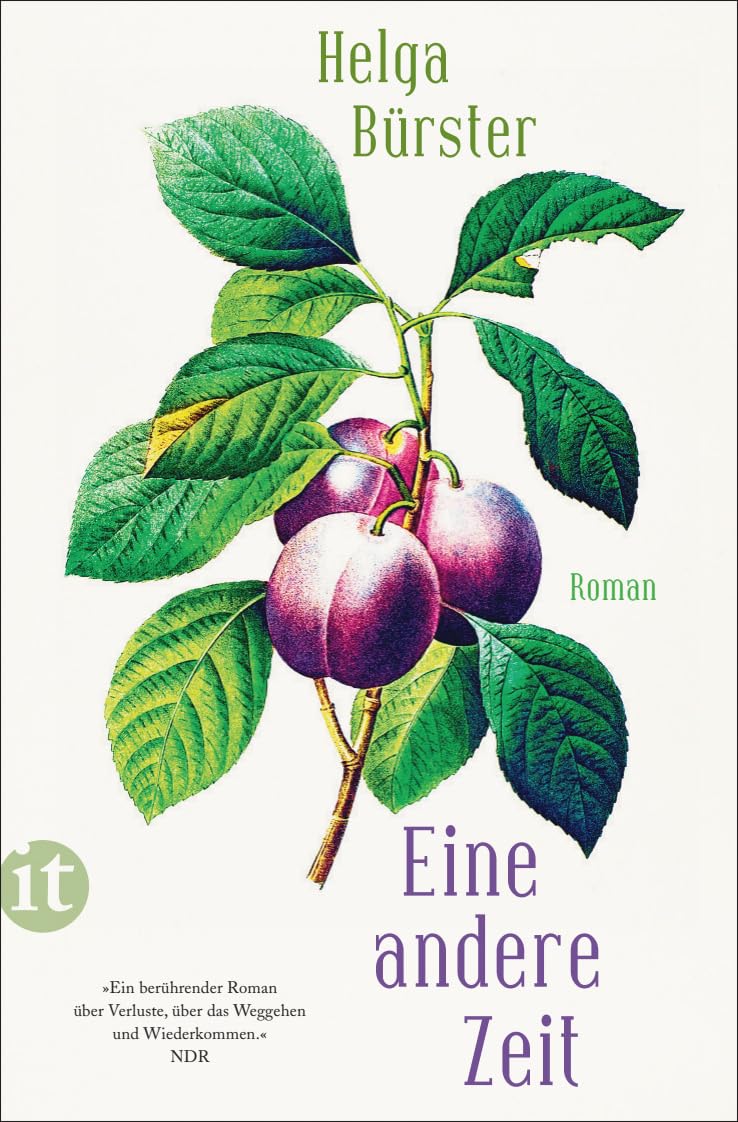 Eine andere Zeit Contemporary literature Books