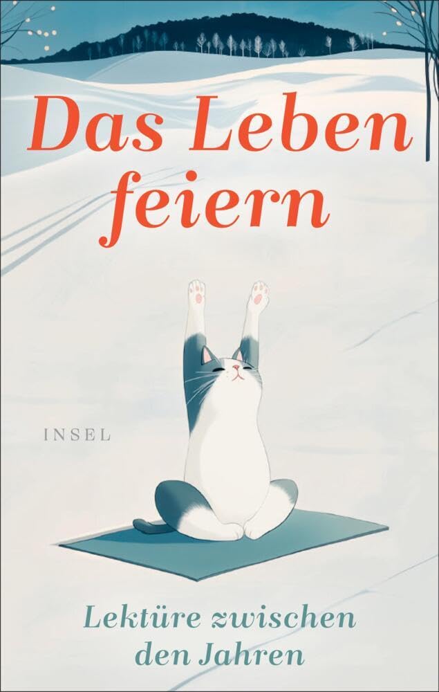 Das Leben feiern Contemporary literature Books