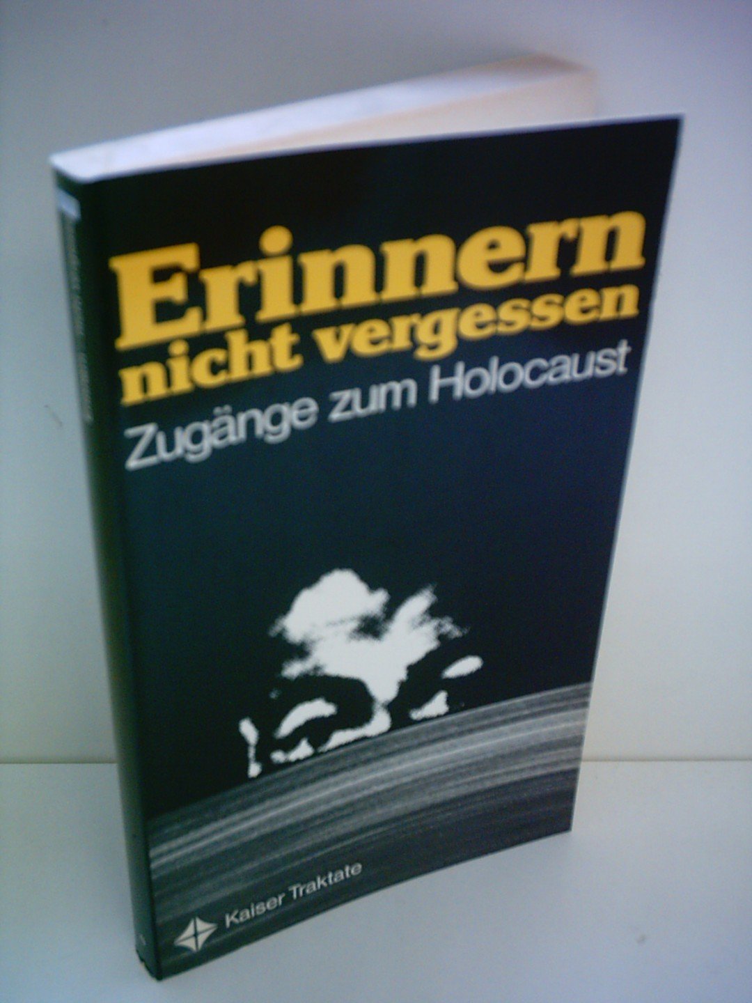 Erinnern, nicht vergessen. Zugänge zum Holocaust German history