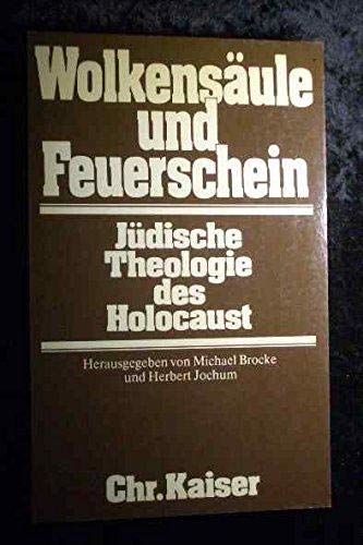Wolkensäule und Feuerschein. Jüdische Theologie des Holocaust book