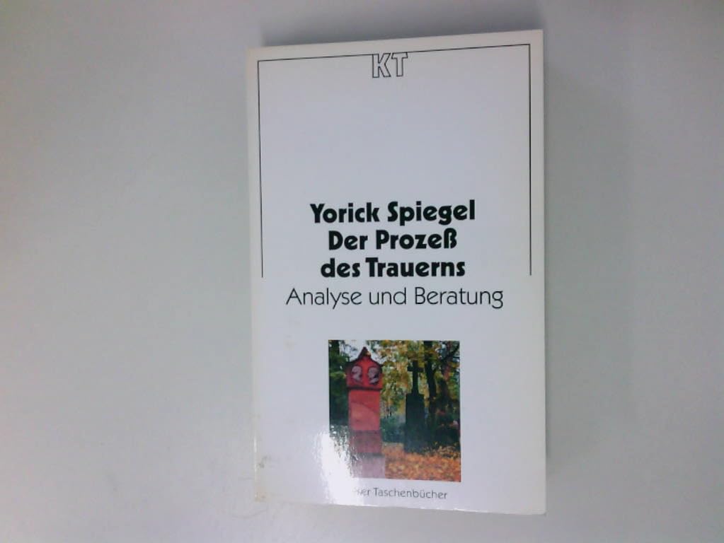 Der Prozess des Trauerns. Analyse und Beratung Death & Mourning Books