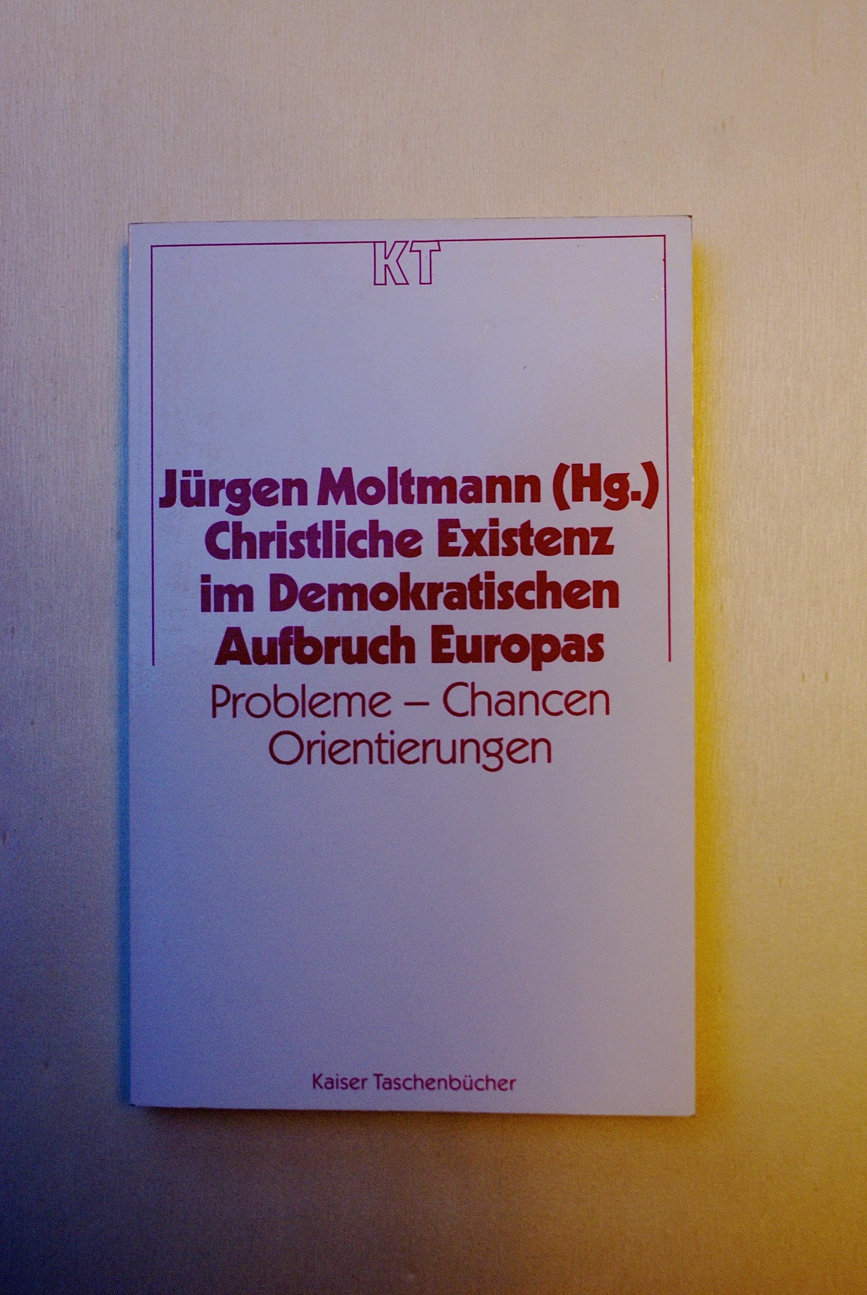 Christliche Existenz im Demokratischen Aufbruch Europas. Probleme - Chancen - Orientierungen Books
