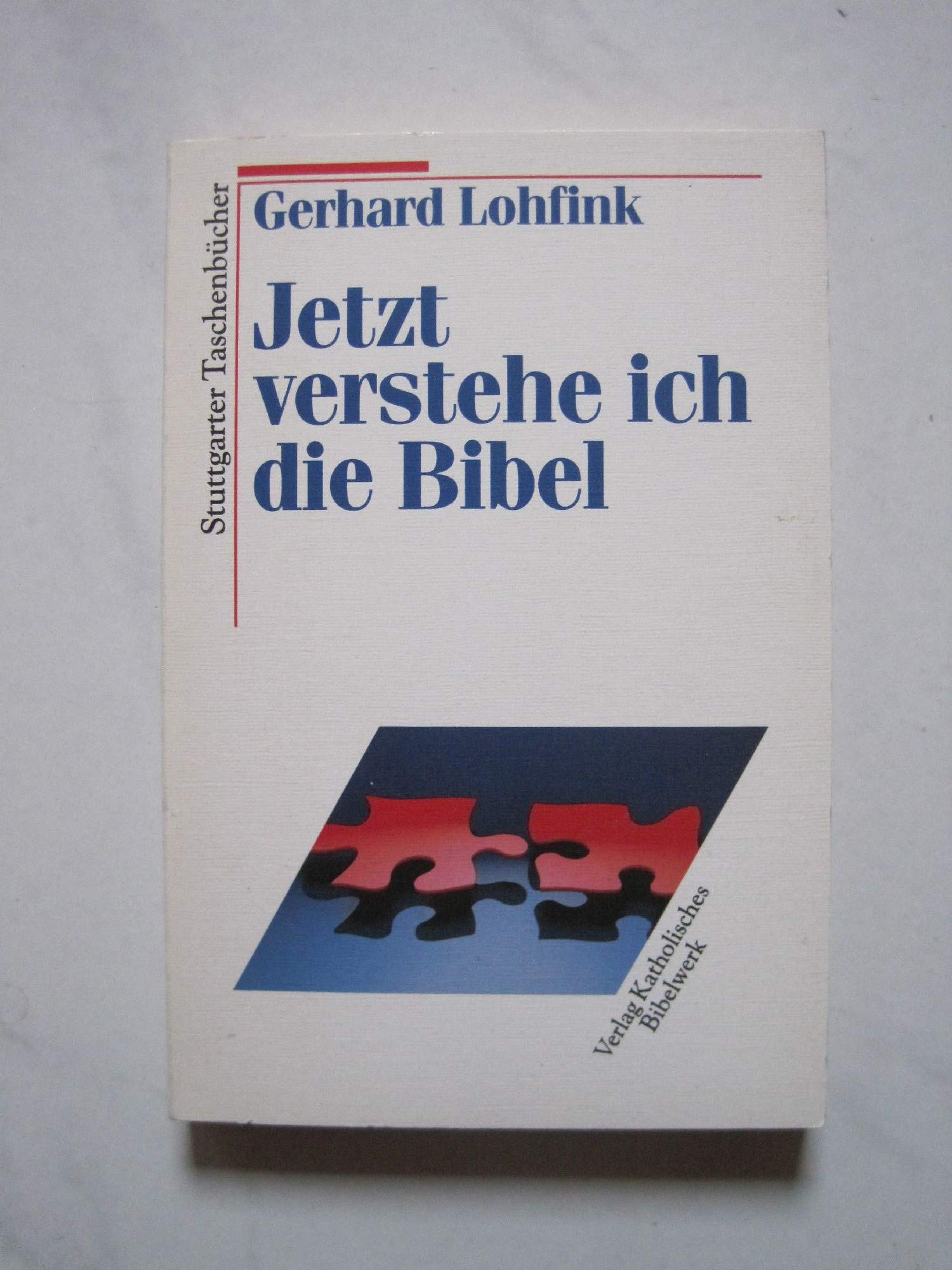 Jetzt verstehe ich die Bibel. Ein Sachbuch zur Formkritik. Religion & Esotericism