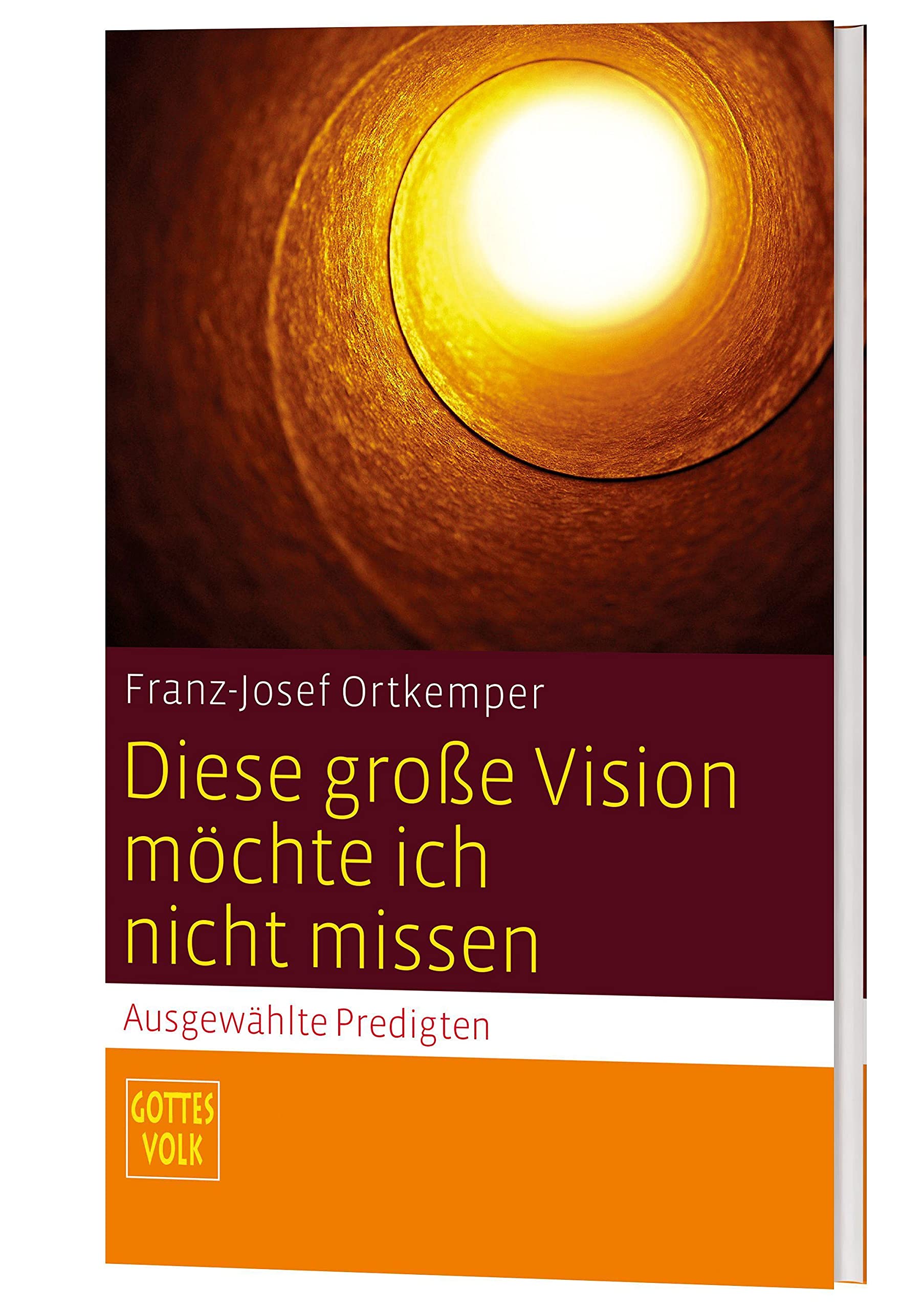 Diese große Vision möchte ich nicht missen: Ausgewählte Predigten Religion & Esotericism