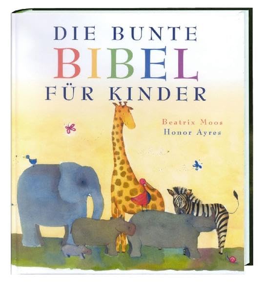 Die bunte Bibel für Kinder Non-fiction books for kids