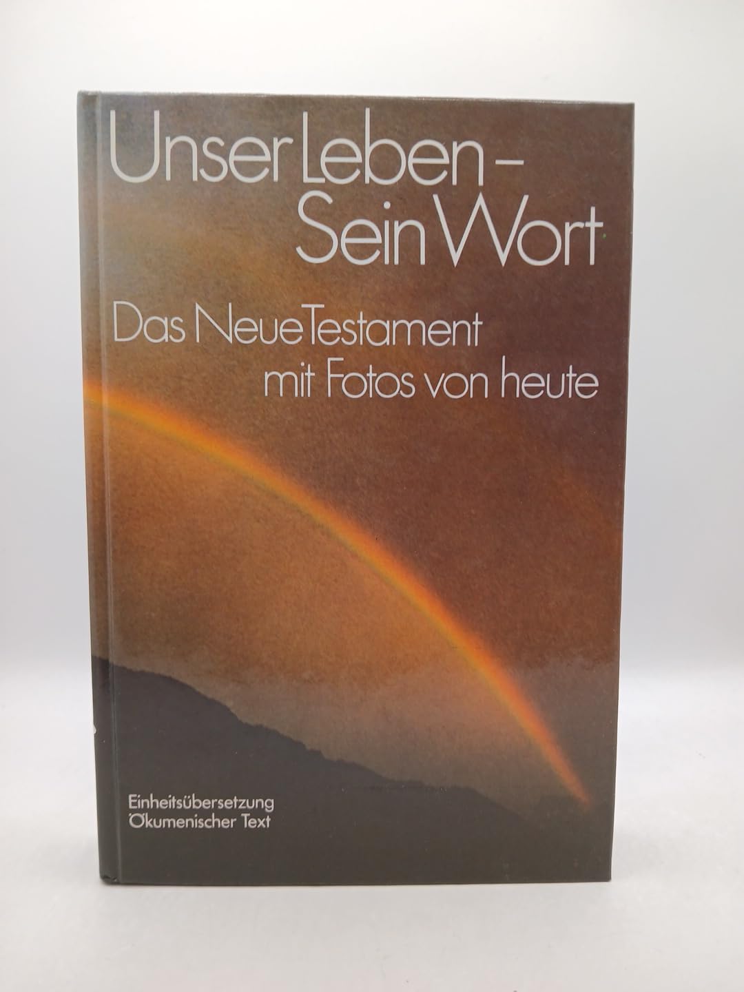 Das Leben des Lazarillo von Tormes. Seine Freuden und Leiden. Der erste Schelmenroman. Mit 10 Holzschnitten von Rudolf Peschel. Übertragung Georg Spranger. book