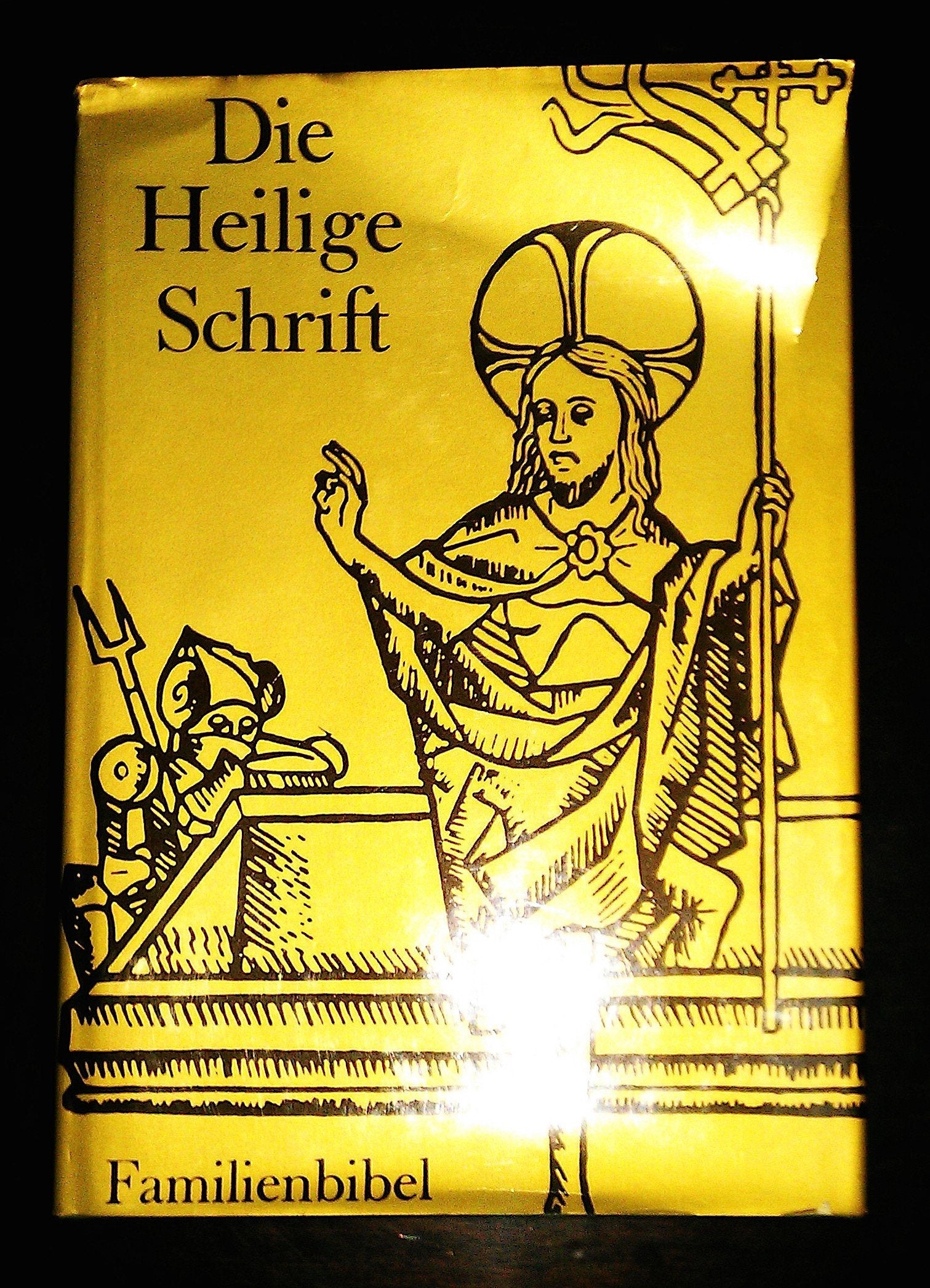 Die Heilige Schrift: Einheitsübersetzung. Kommentiert. Familienbibel Books