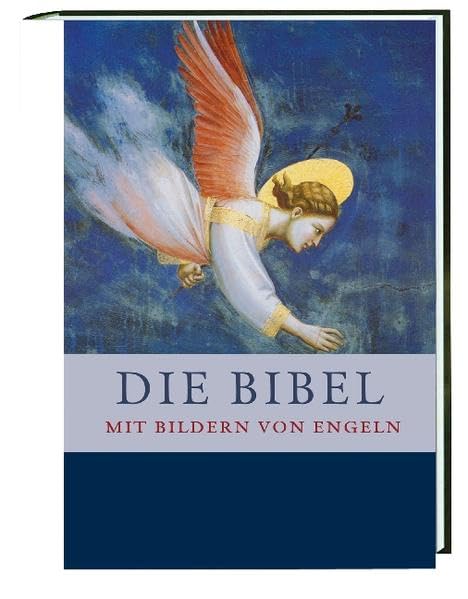 Die Bibel: Mit Bildern von Engeln Second hand books on Religion & Esotericism