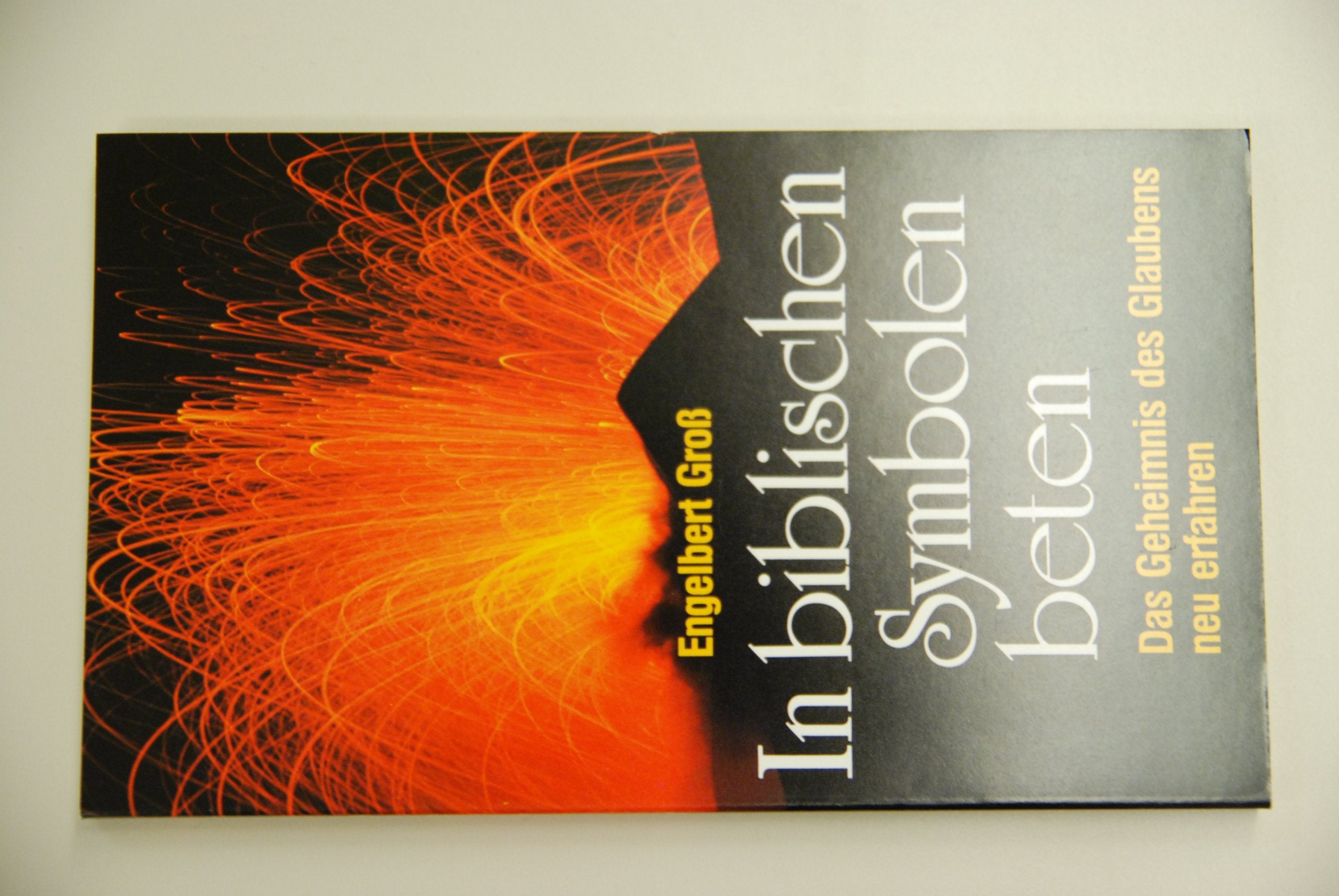 In biblischen Symbolen beten. Das Geheimnis des Glaubens neu erfahren Books