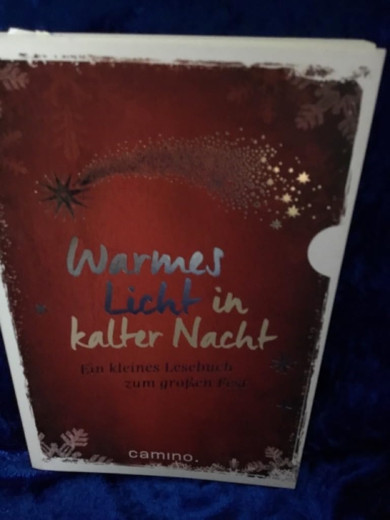 Warmes Licht in kalter Nacht Contemporary literature Books