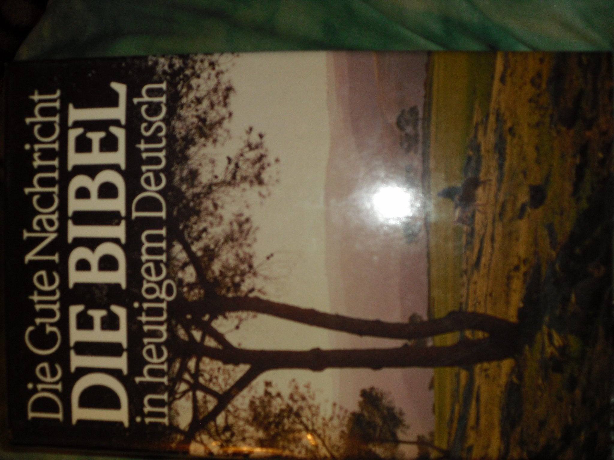 Die Gute Nachricht. Die Bibel in heutigem Deutsch. Illustrierte Ausgabe Books