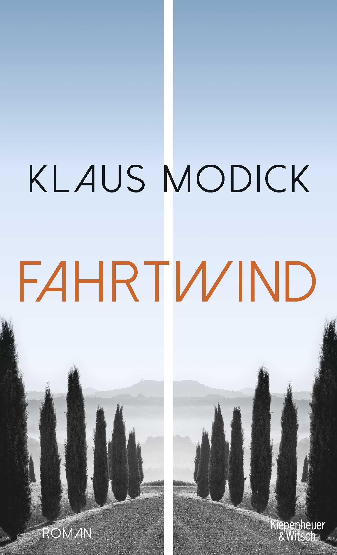 Fahrtwind Contemporary literature Books