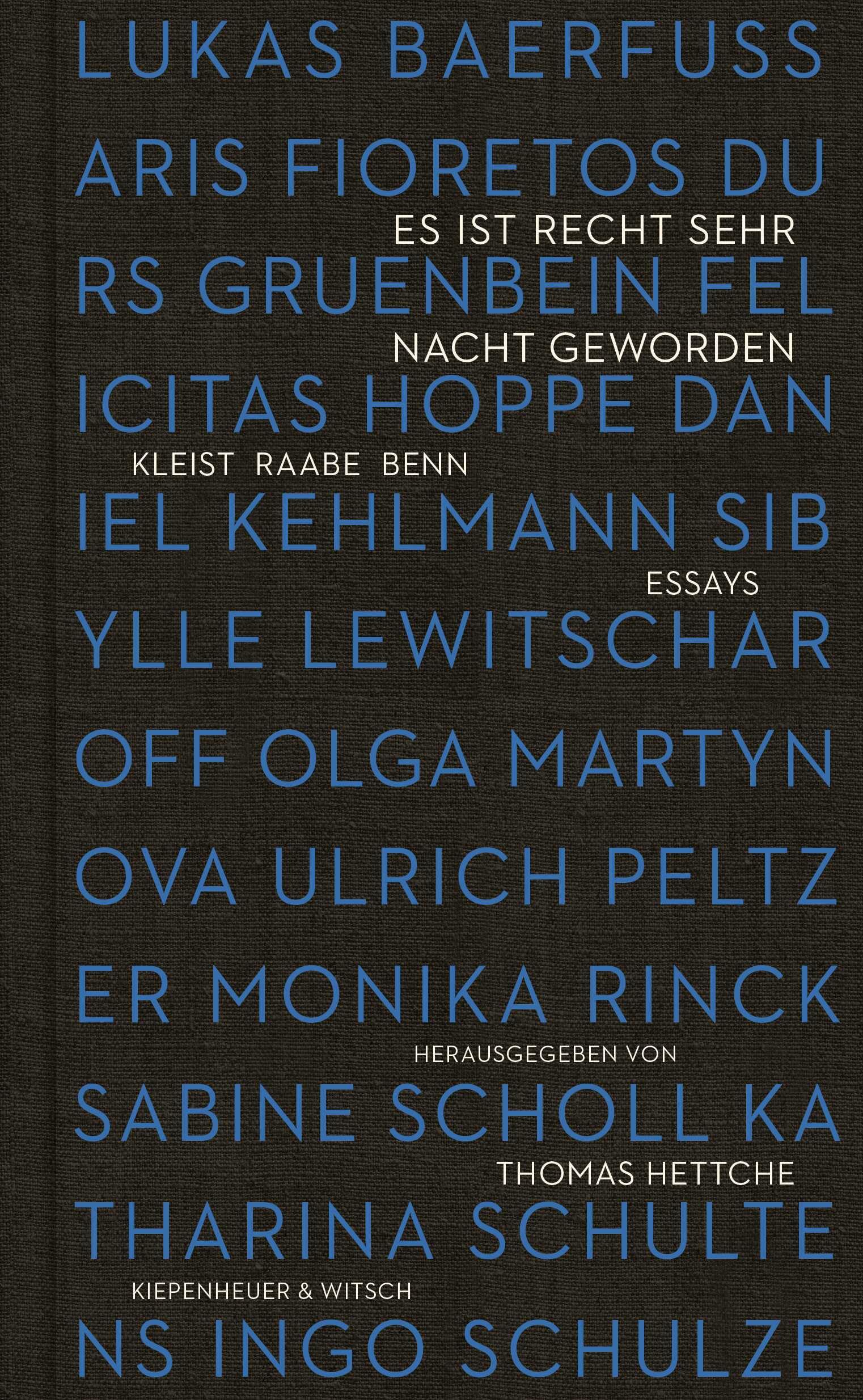 Es ist recht sehr Nacht geworden: Kleist, Raabe, Benn. Essays Poetry