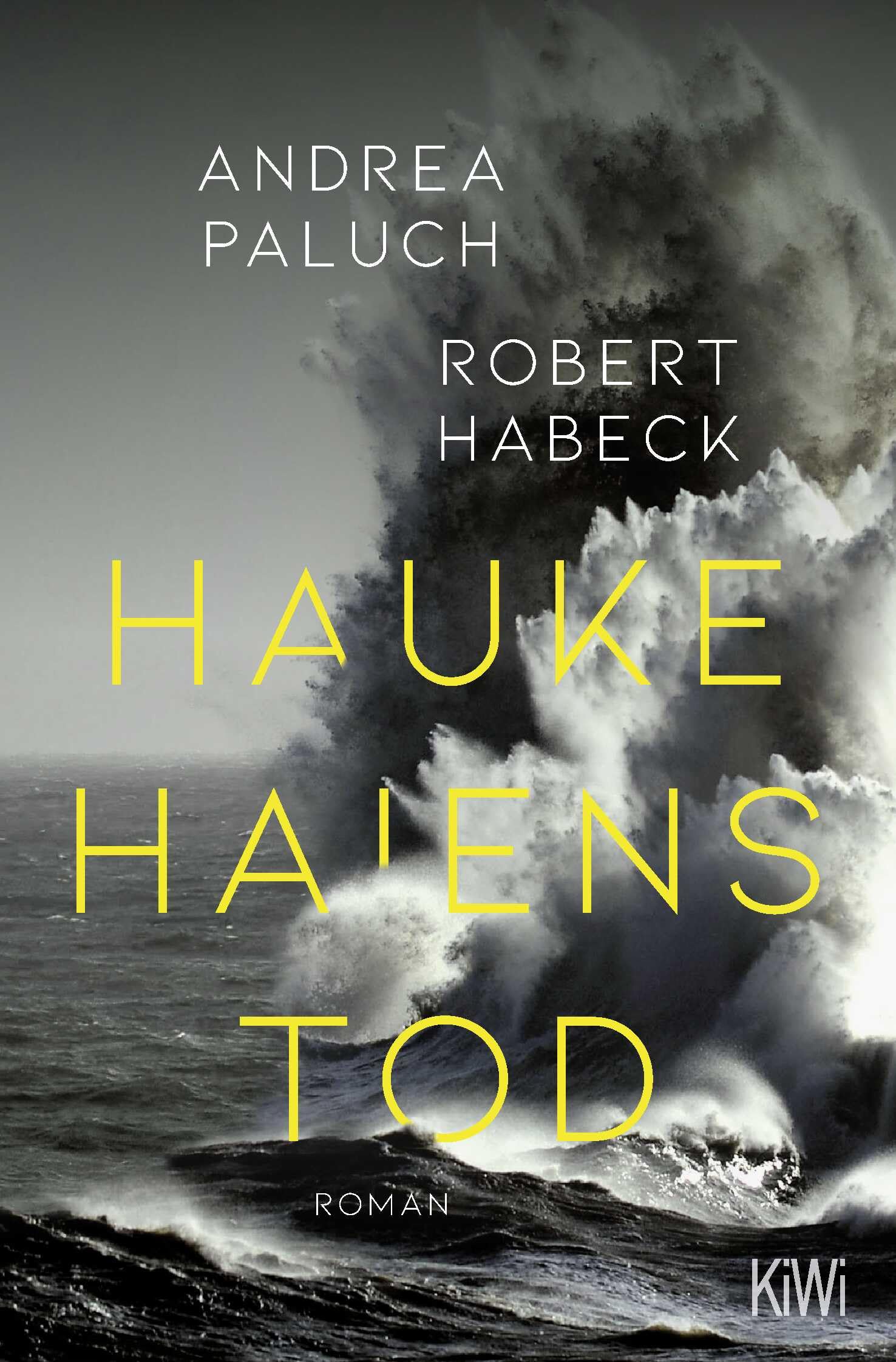 Hauke Haiens Tod Essays & Short Stories