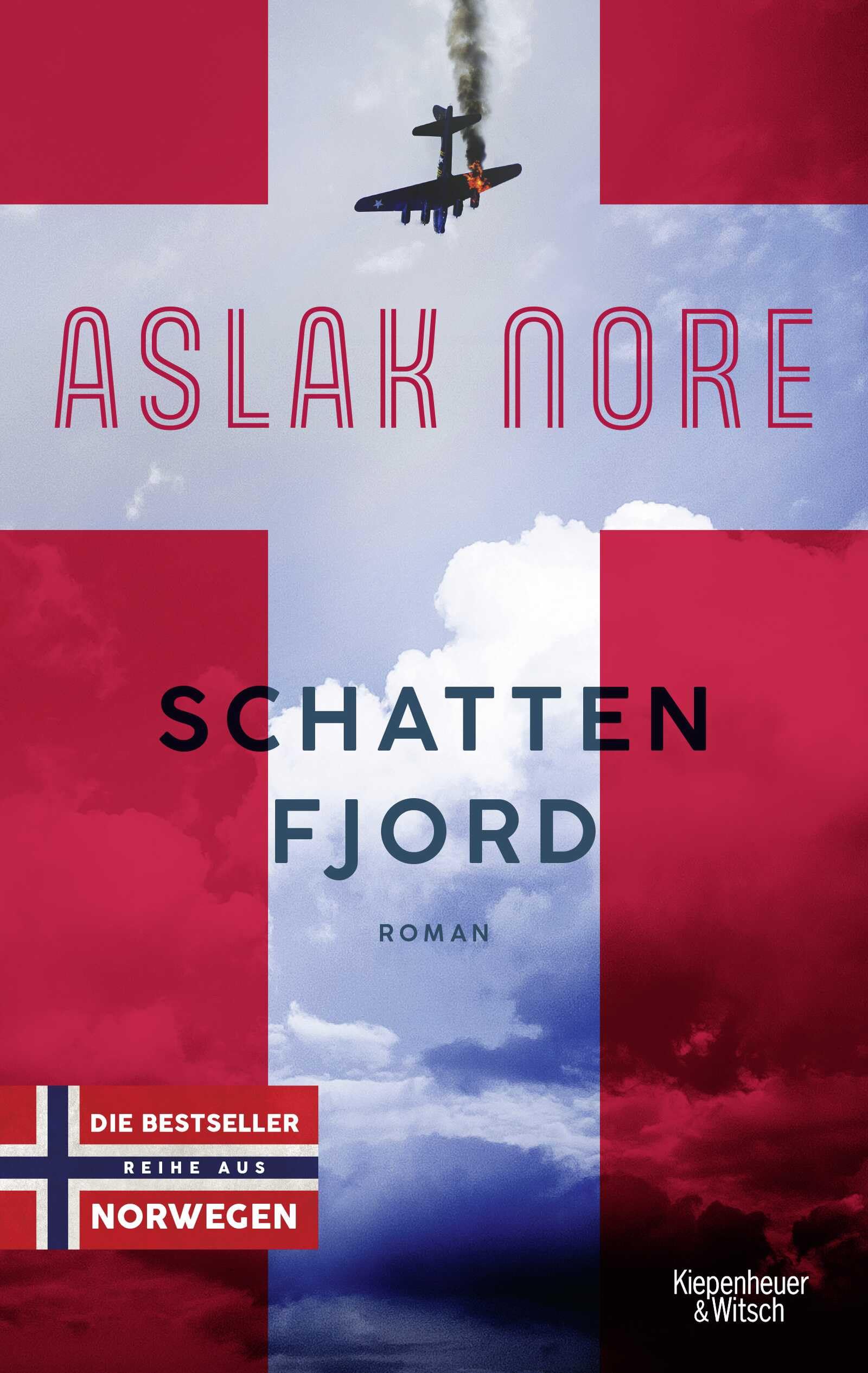 Schattenfjord: Roman (Die Falck-Saga, Band 3) Contemporary literature