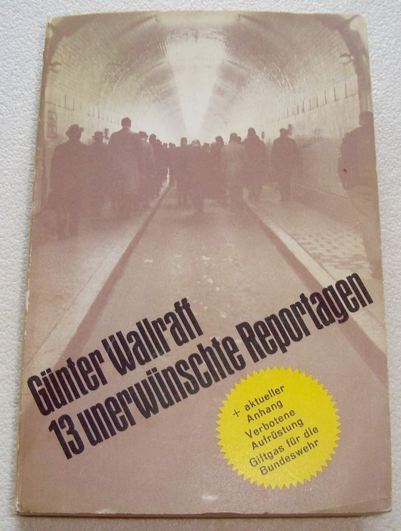 13 unerwünschte Reportagen. Die aufsehenerregenden Berichte aus dem nichtöffentlichen Deutschland Politics & History