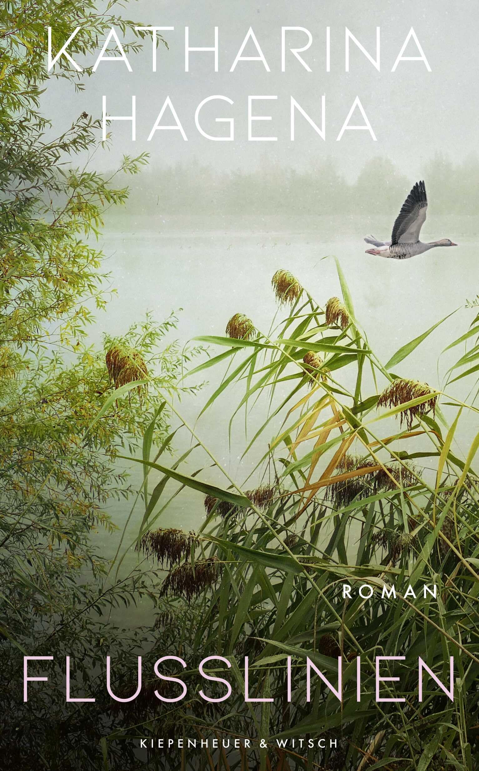 Product Image: Flusslinien