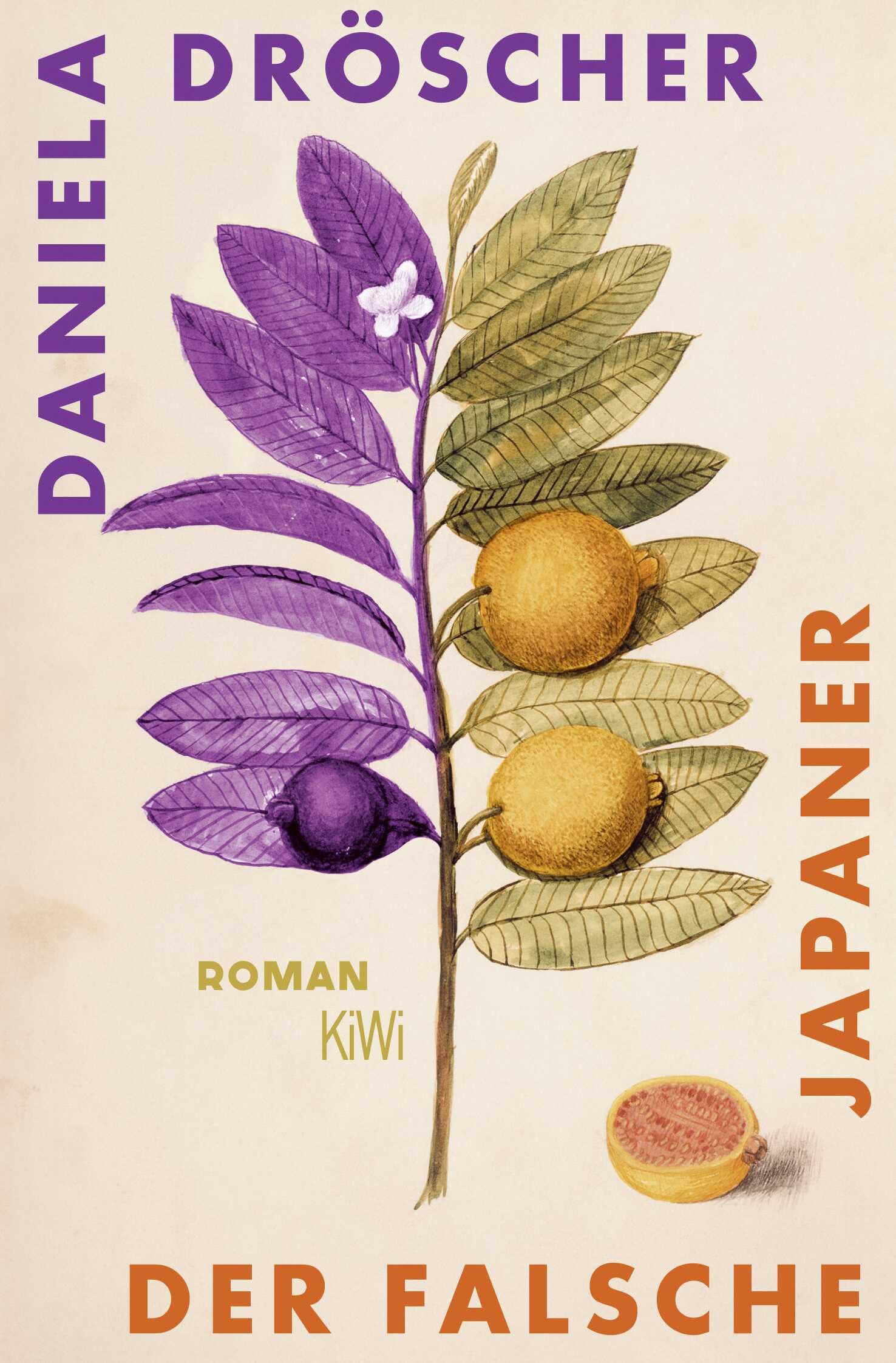 Der falsche Japaner Contemporary literature Books