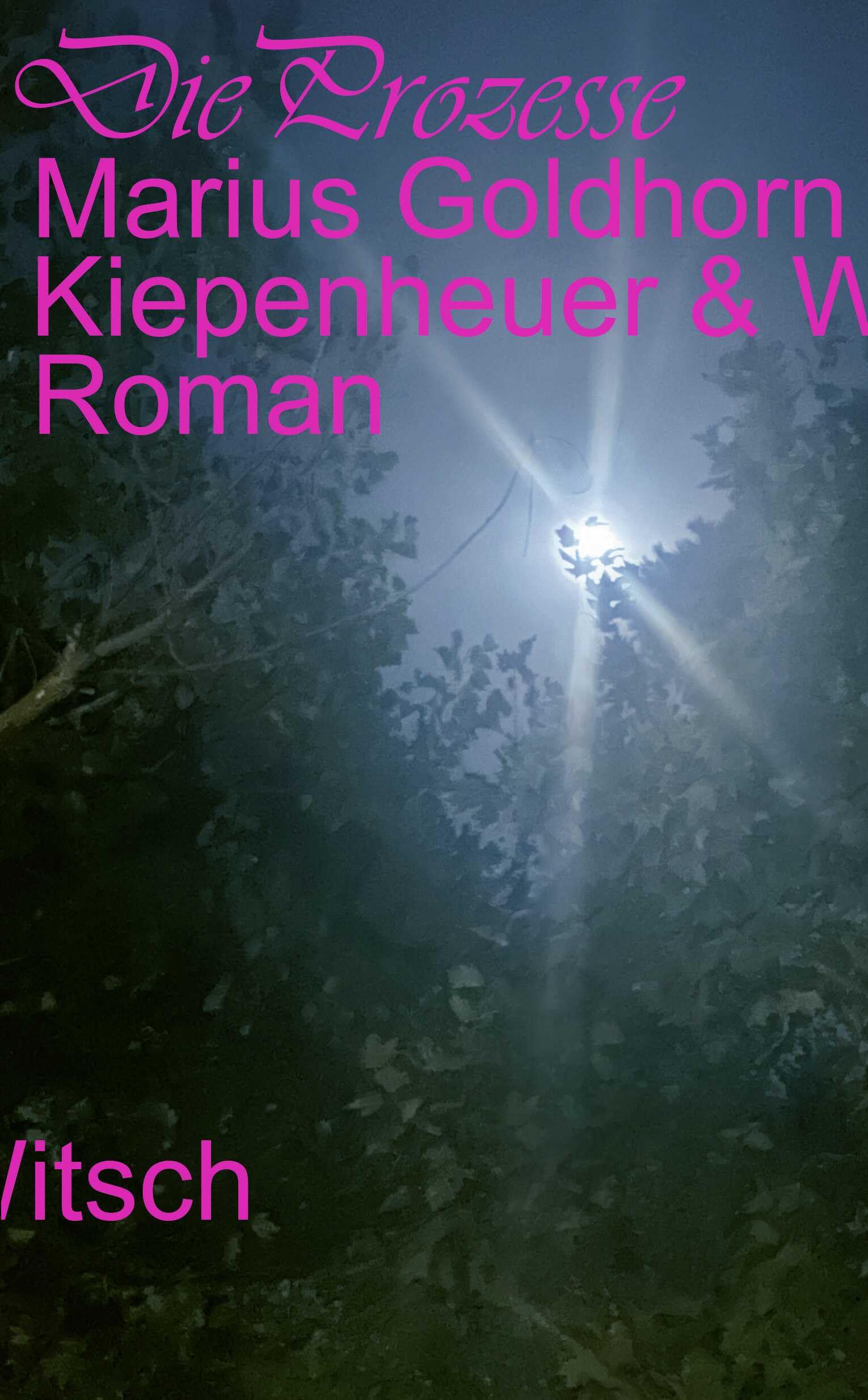 Die Prozesse Contemporary literature Books