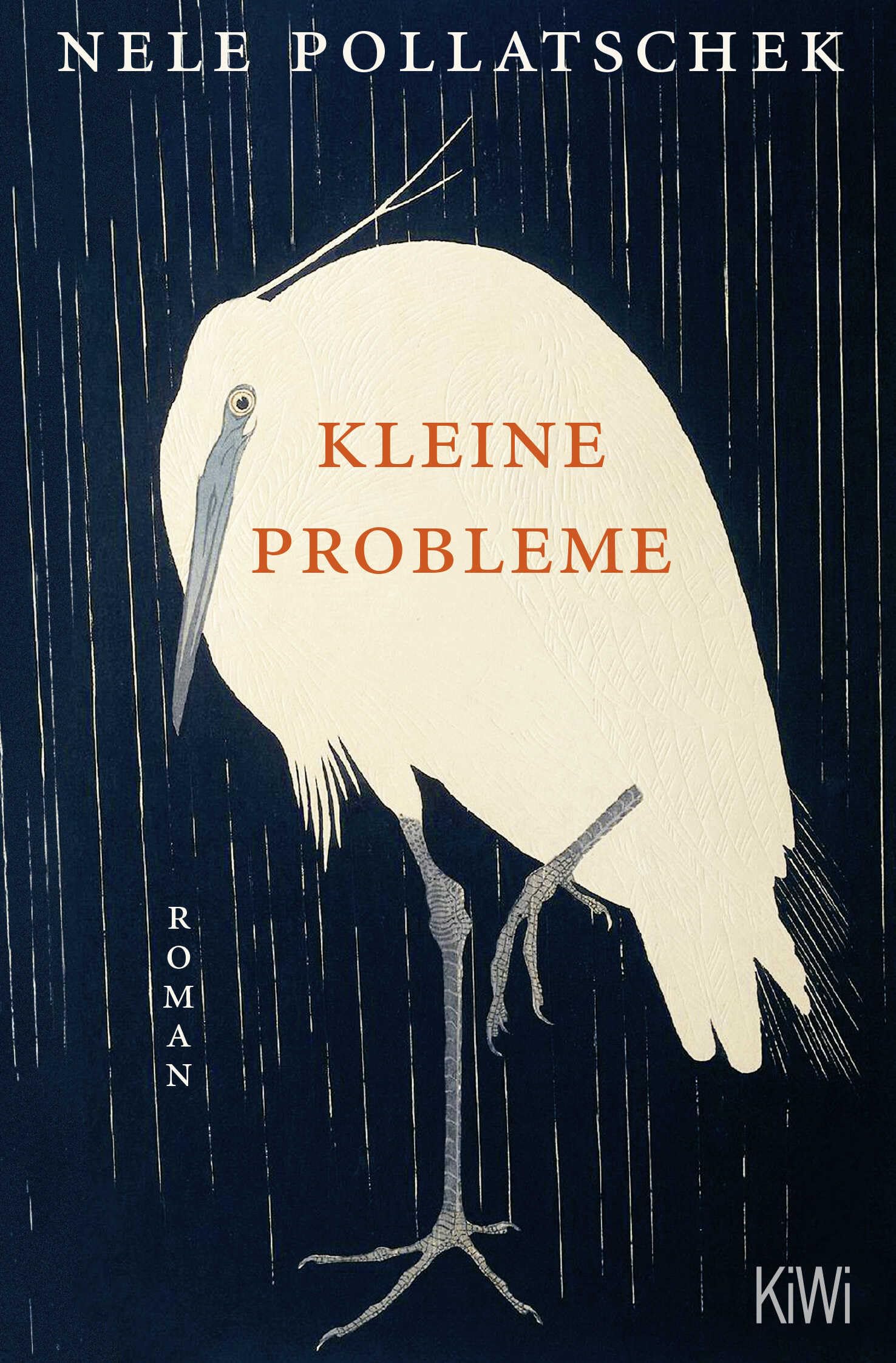 Product Image: Kleine Probleme
