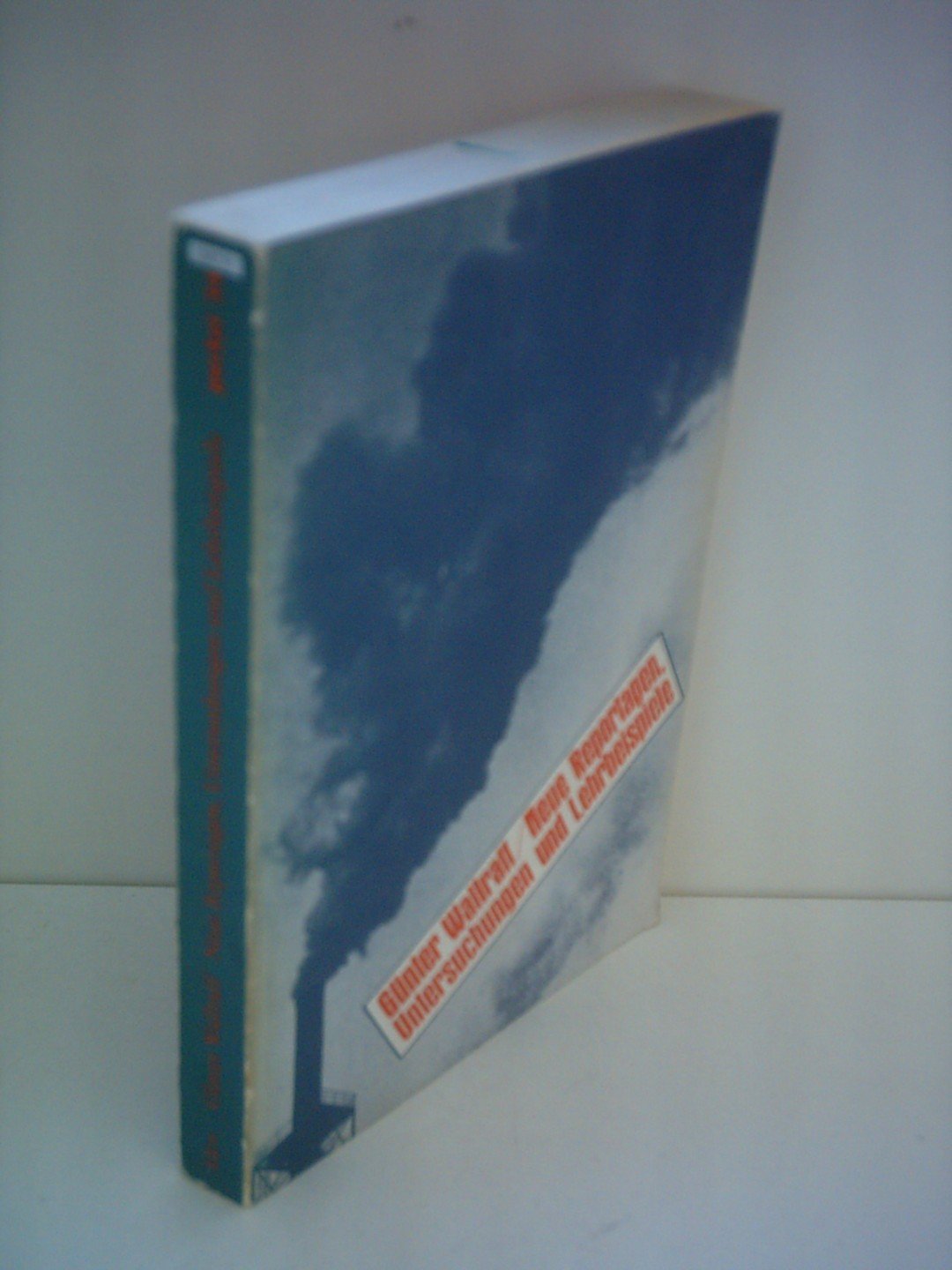 Neue Reportagen, Untersuchungen, Lehrbeispiele (pocket) Politics & History