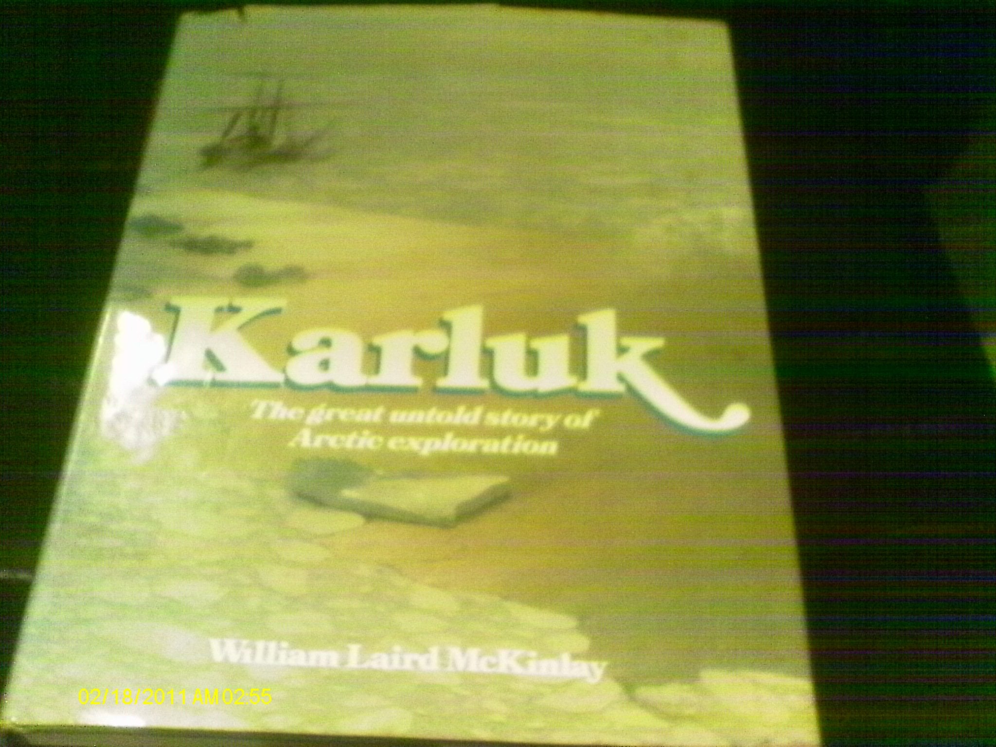 Karluk. Die Geschichte einer verratenen Expedition Books
