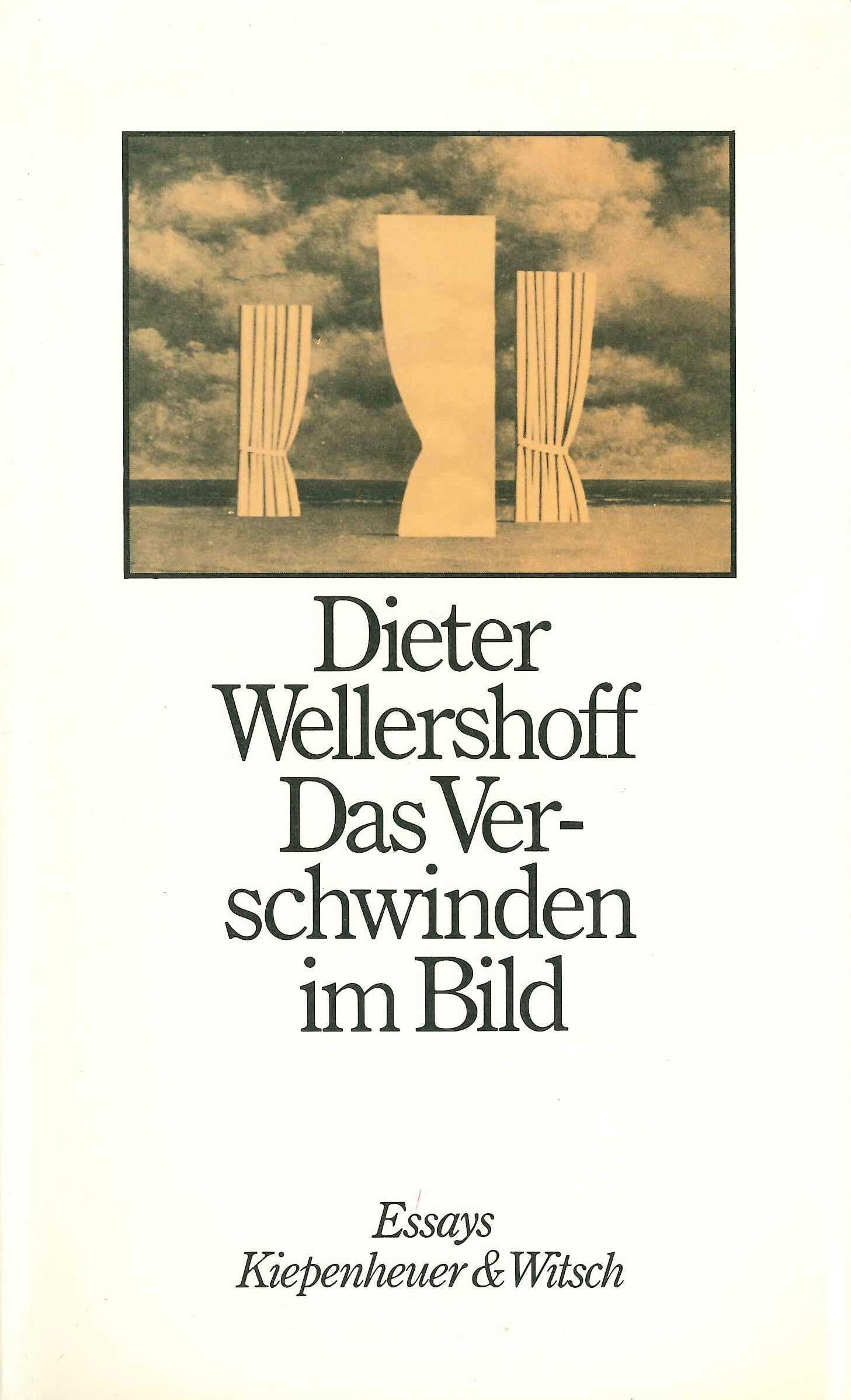 Das Verschwinden im Bild Contemporary literature Books