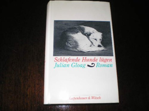 Schlafende Hunde lügen: Roman Books