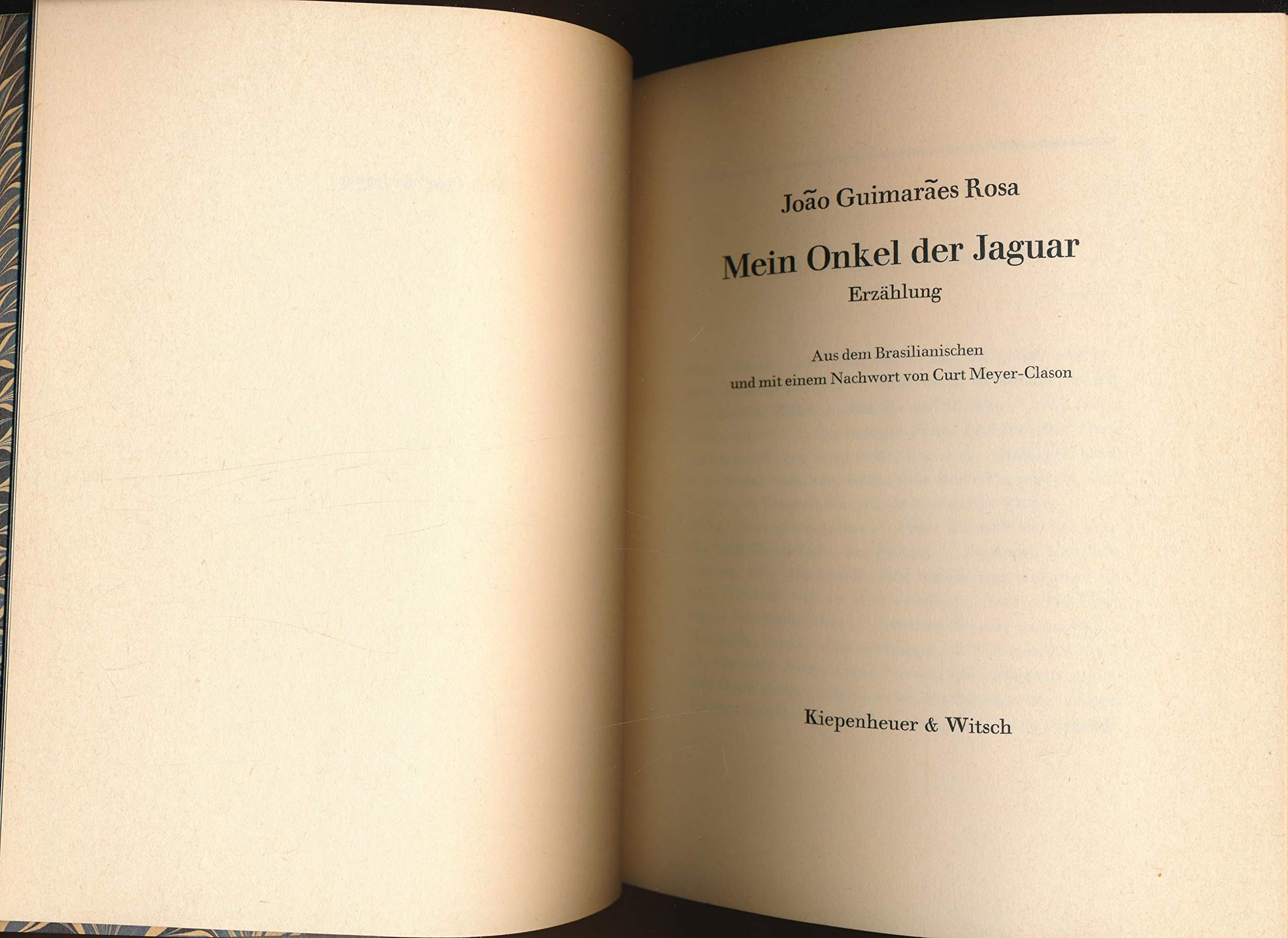 Mein Onkel der Jaguar: Erzählung Contemporary literature