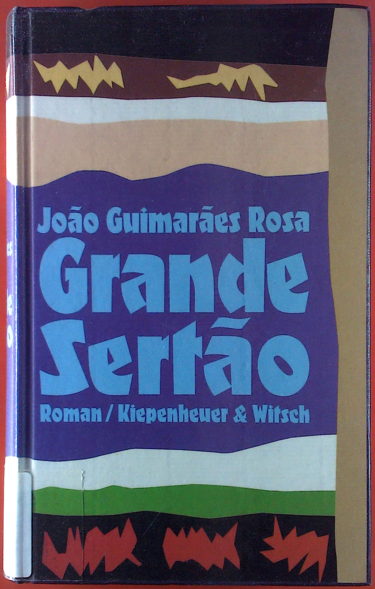 Grande Sertão Fiction Books