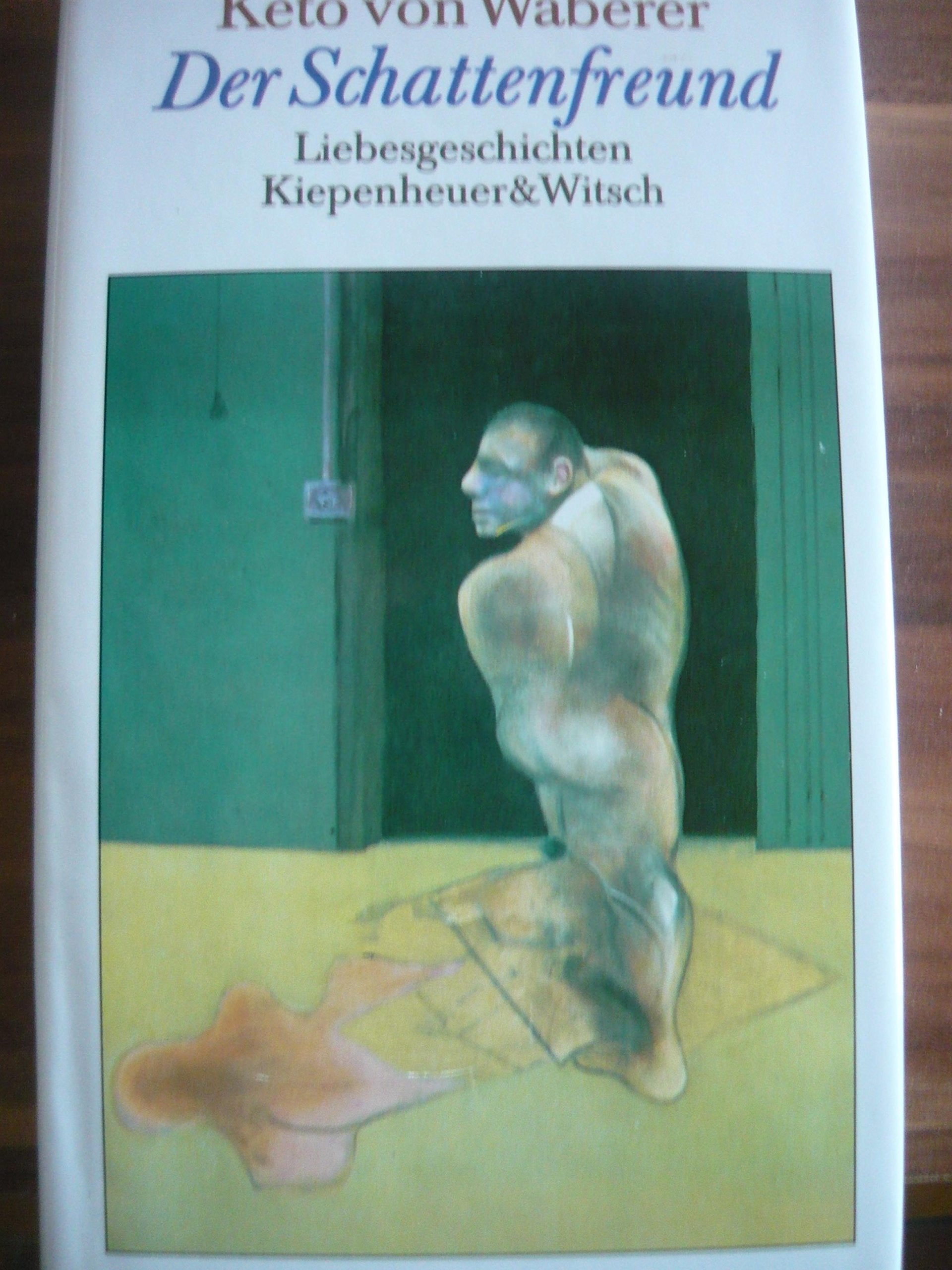 Der Schattenfreund: Liebesgeschichten Contemporary literature