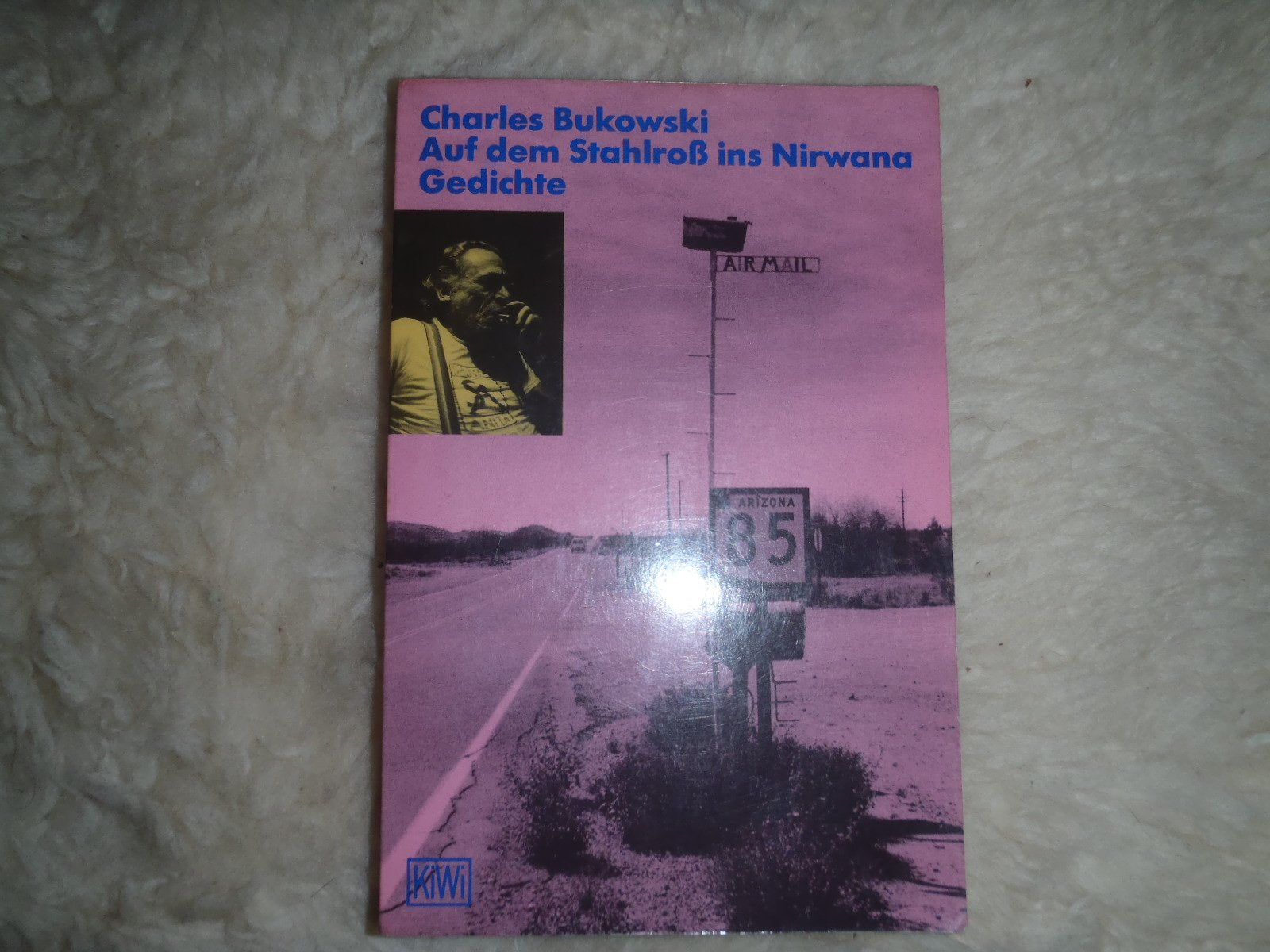 Auf dem Stahlroß ins Nirwana. Gedichte 1988-1992 Fiction