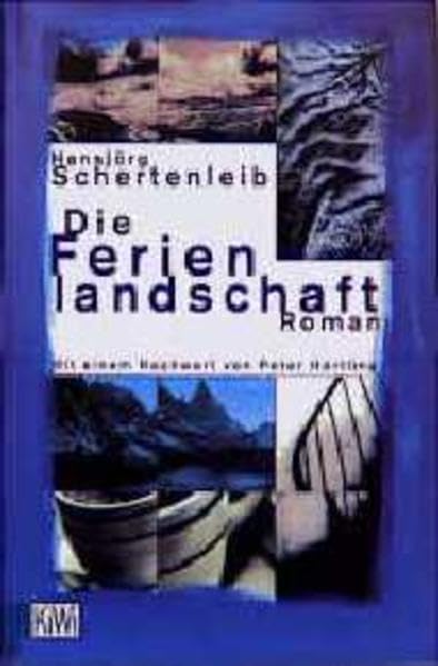 Die Ferienlandschaft: Roman (KiWi) Books