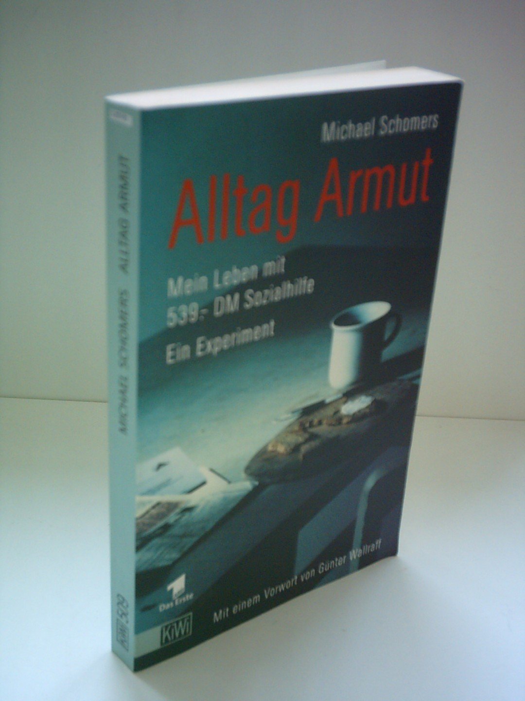 Alltag Armut: Mein Leben mit 539.- DM Sozialhilfe. Ein Experiment Politics & History