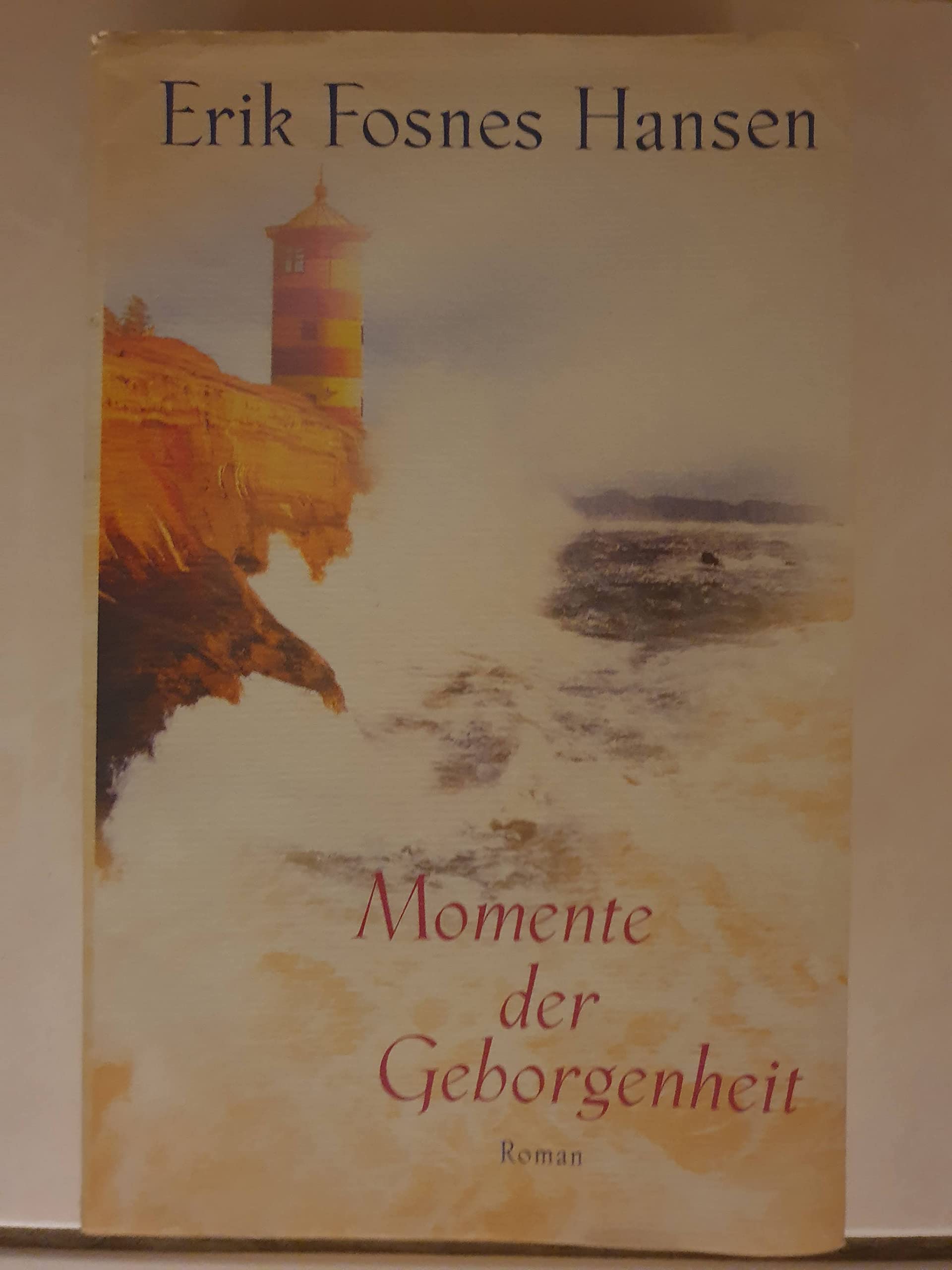 Momente der Geborgenheit: Roman Contemporary literature