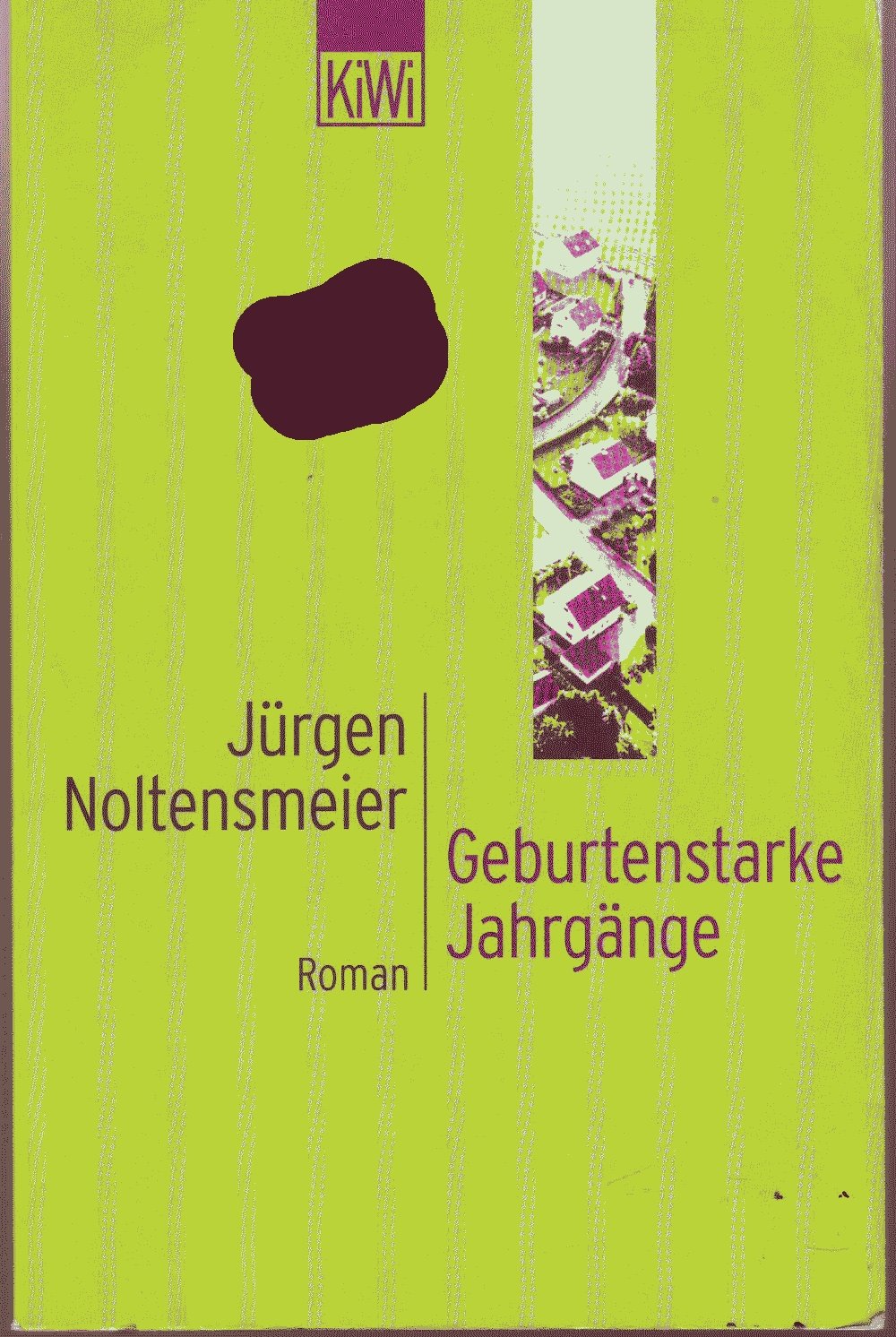 Geburtenstarke Jahrgänge: Roman (KiWi) Contemporary literature