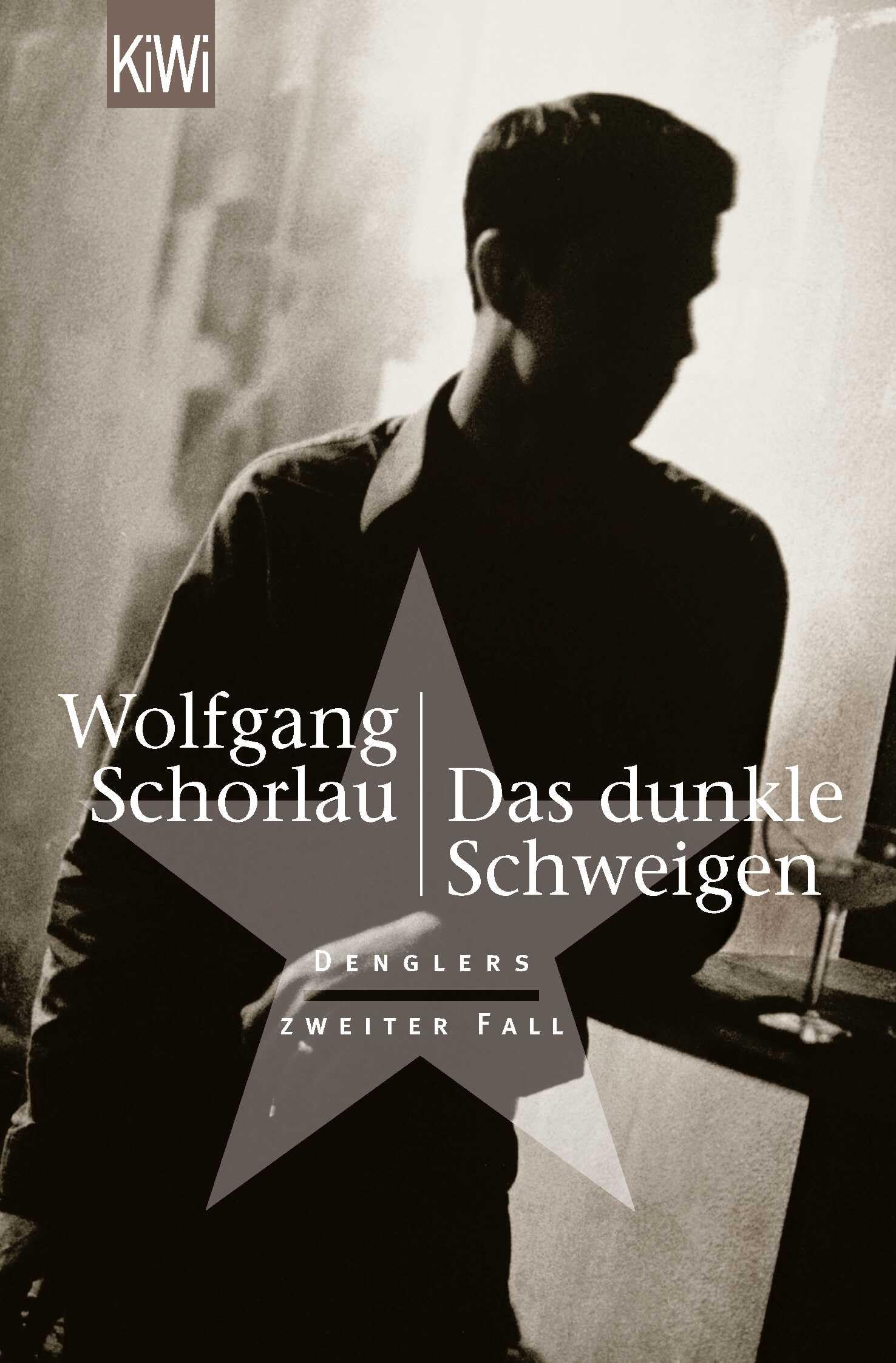 Das dunkle Schweigen Contemporary literature Books