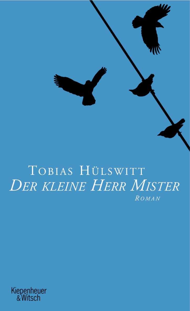 Der kleine Herr Mister: Roman Contemporary literature