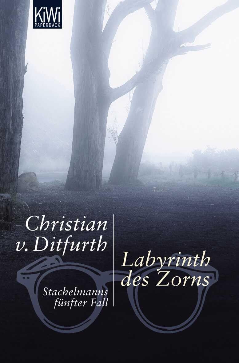 Labyrinth des Zorns Contemporary literature