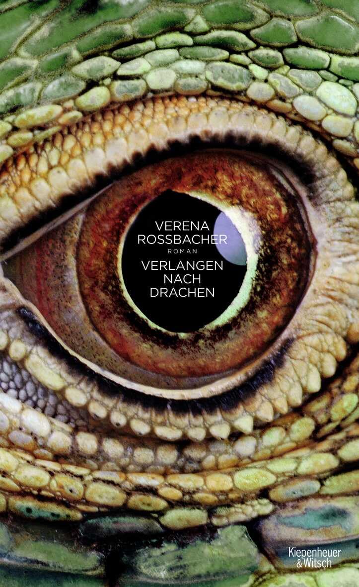 Verlangen nach Drachen: Roman Contemporary literature