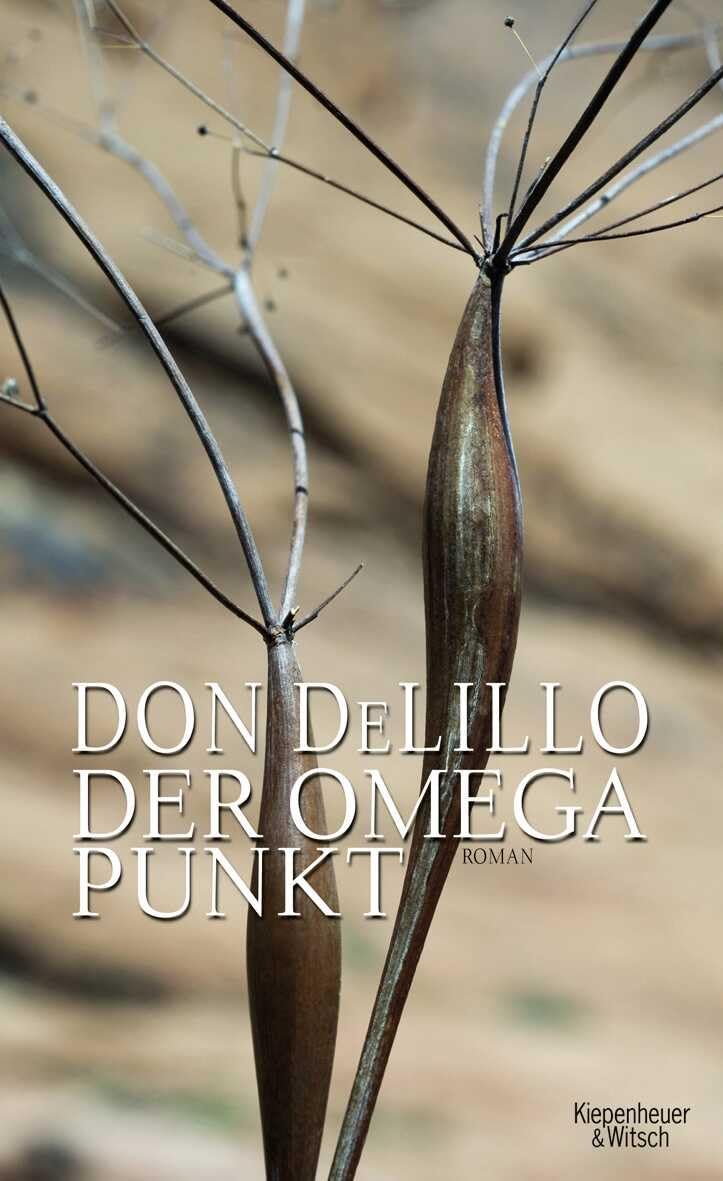 Product Image: Der Omega-Punkt